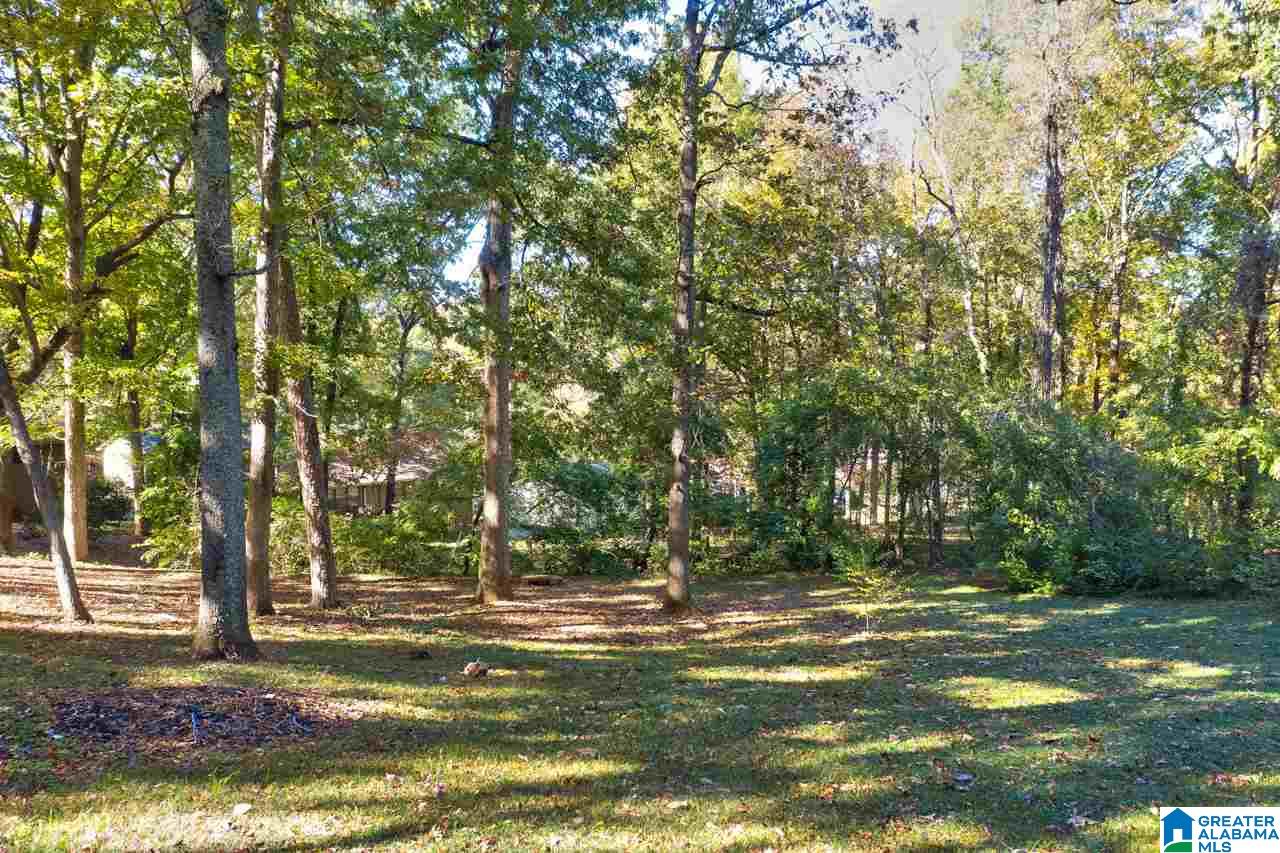 704 Lance Boulevard Birmingham, AL 35206 - Photo 32 of 32