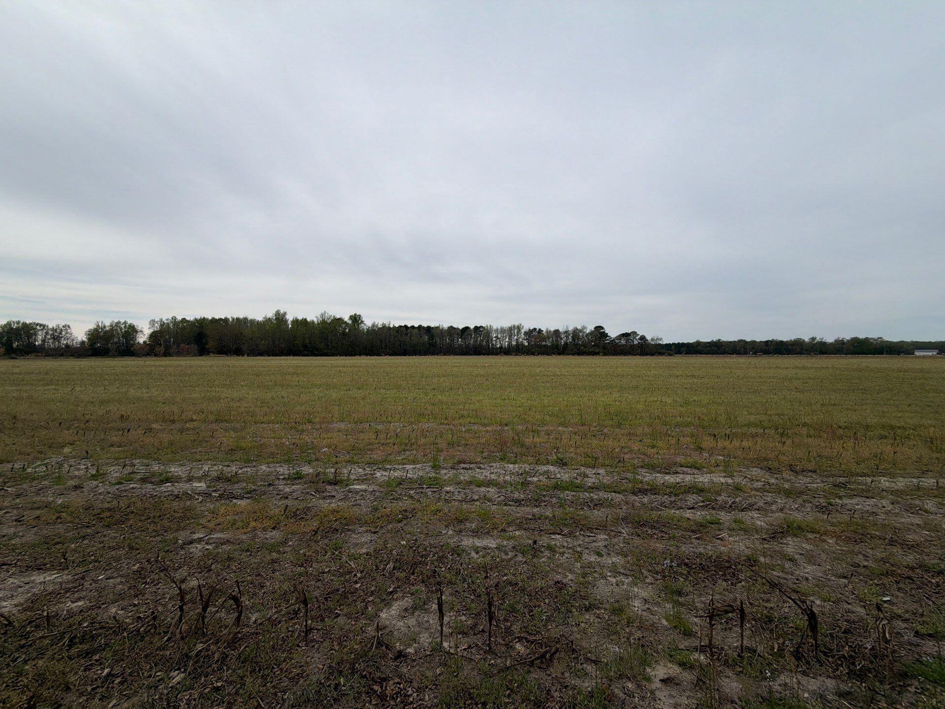 1 Judson Road, Unit MTA 1 Dillon, SC 29536 - Photo 28 of 28