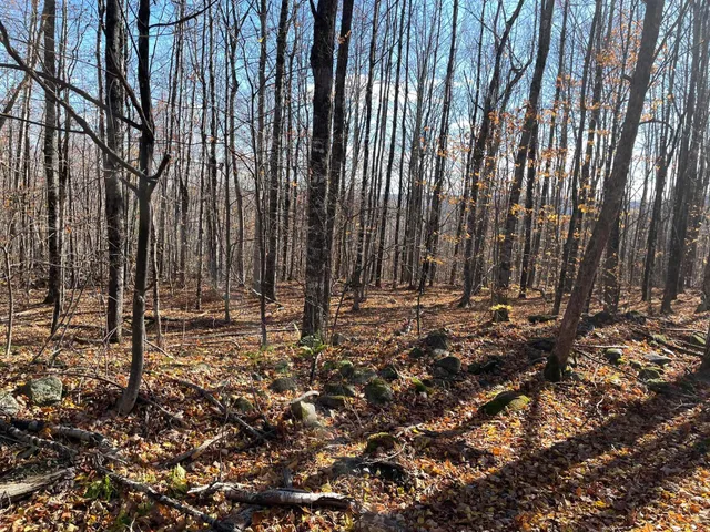 $50,000 | Lot#29 Bradley Drive, Harmony, ME 04942
