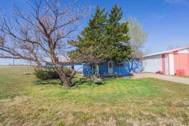 a tree in a yard next to a building