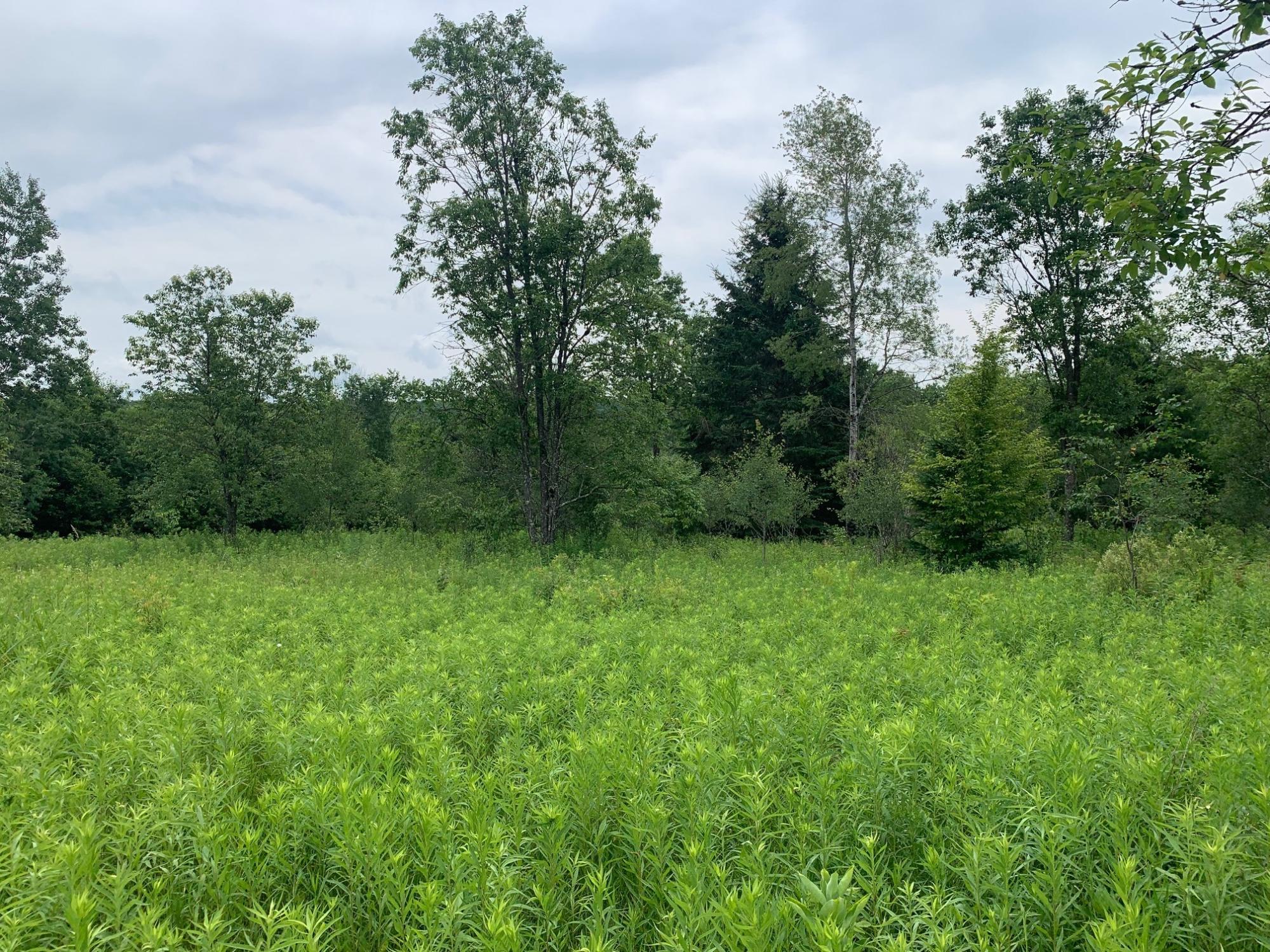 On Bert Schmidt Road, Unit 5 1 ACRES Glidden, WI 54527 - Photo 9 of 18