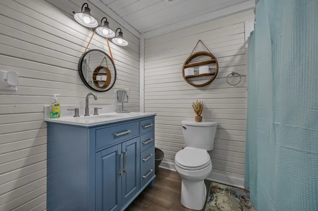 a bathroom with a toilet sink vanity and mirror