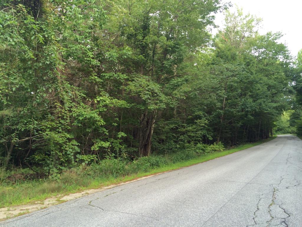 72 Perkins Pond Road Weare, NH 03281 - Photo 4 of 7 Gallery Image 4