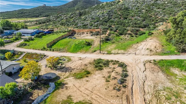 a view of a yard with plants and large trees