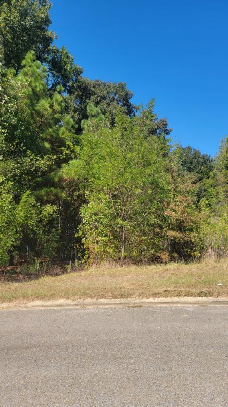 North Ridge Drive Saltillo, MS 38866 - Photo 3 of 4 Gallery Image 3