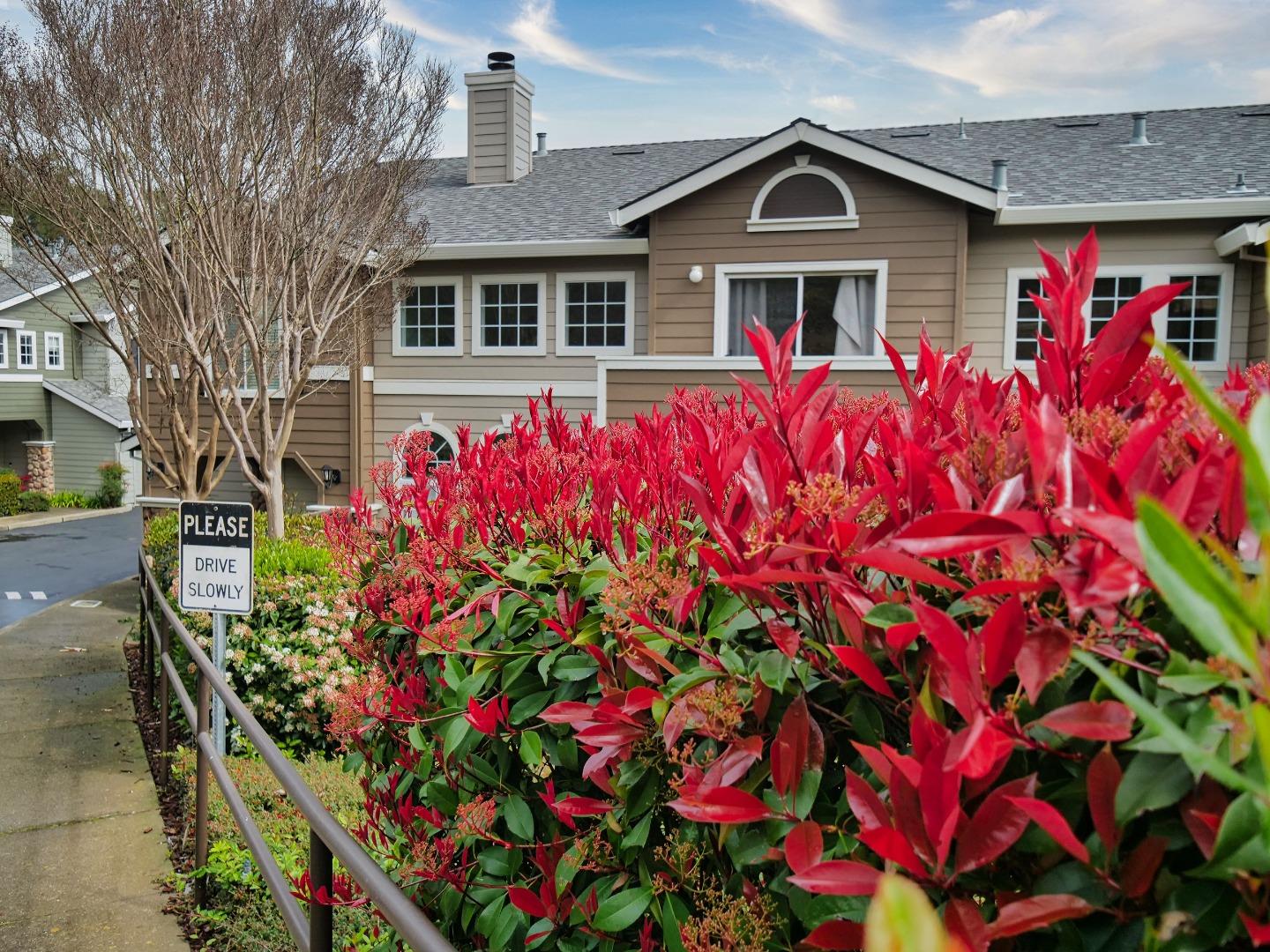 1302 Dawn Court San Ramon, CA 94583 - Photo 8 of 100 a front view of a house with lots of flowers and trees