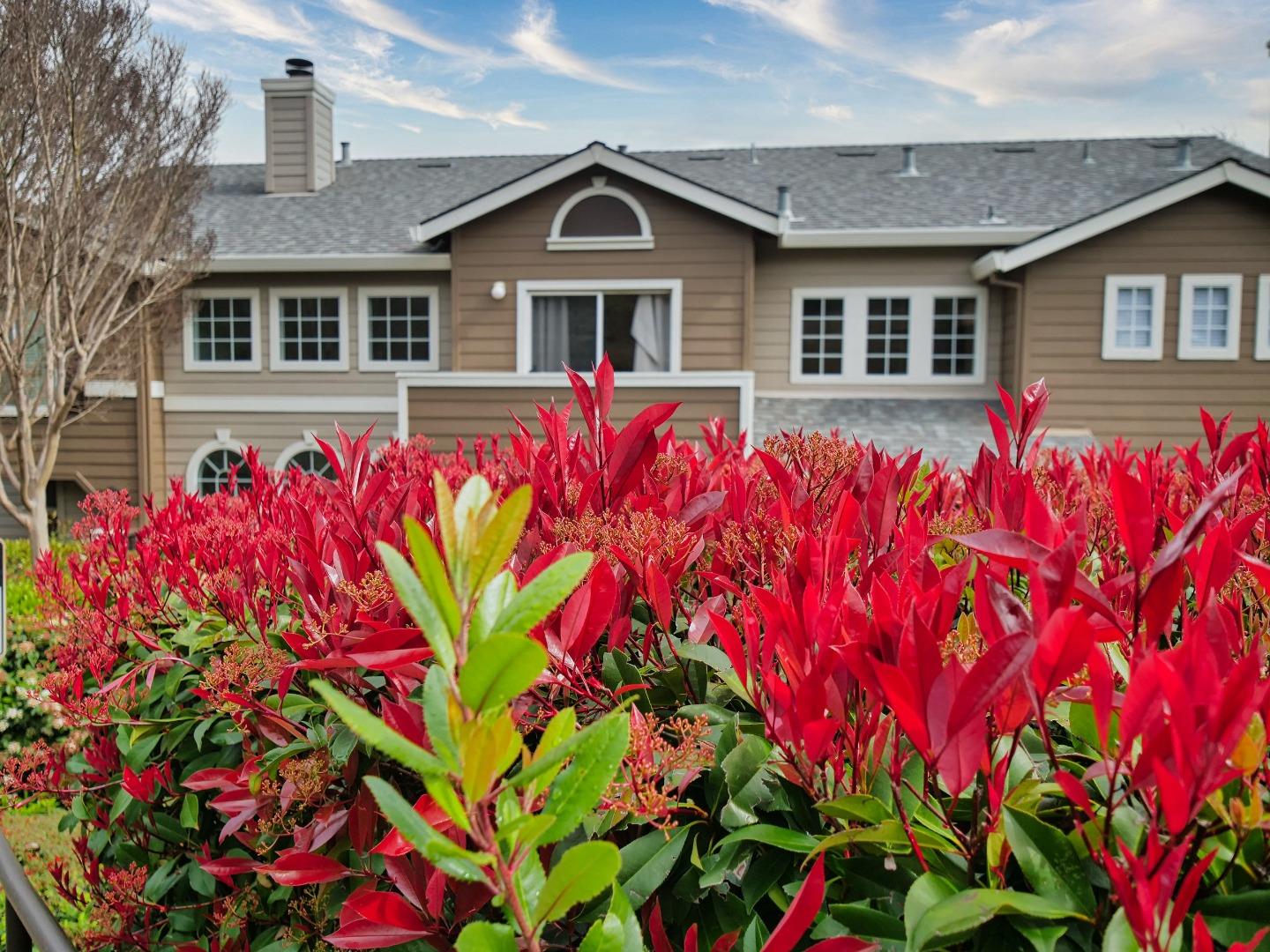 1302 Dawn Court San Ramon, CA 94583 - Photo 9 of 100 a front view of a house with lots of flowers