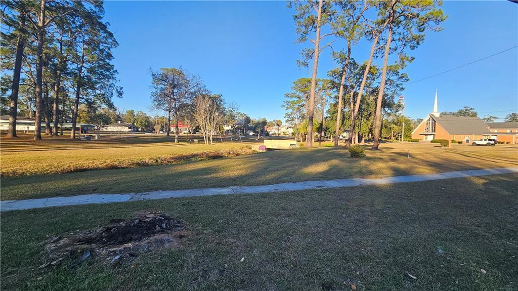 907 Mary Street Waycross, GA 31503 - Photo 4 of 4 Photo 4