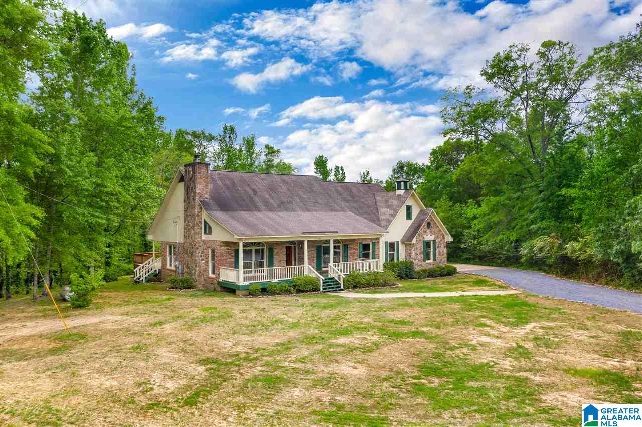 334 Old Eason Road Pell City, AL 35128 - Photo 44 of 47
