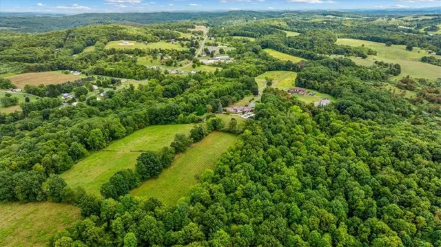 a view of a garden with a building