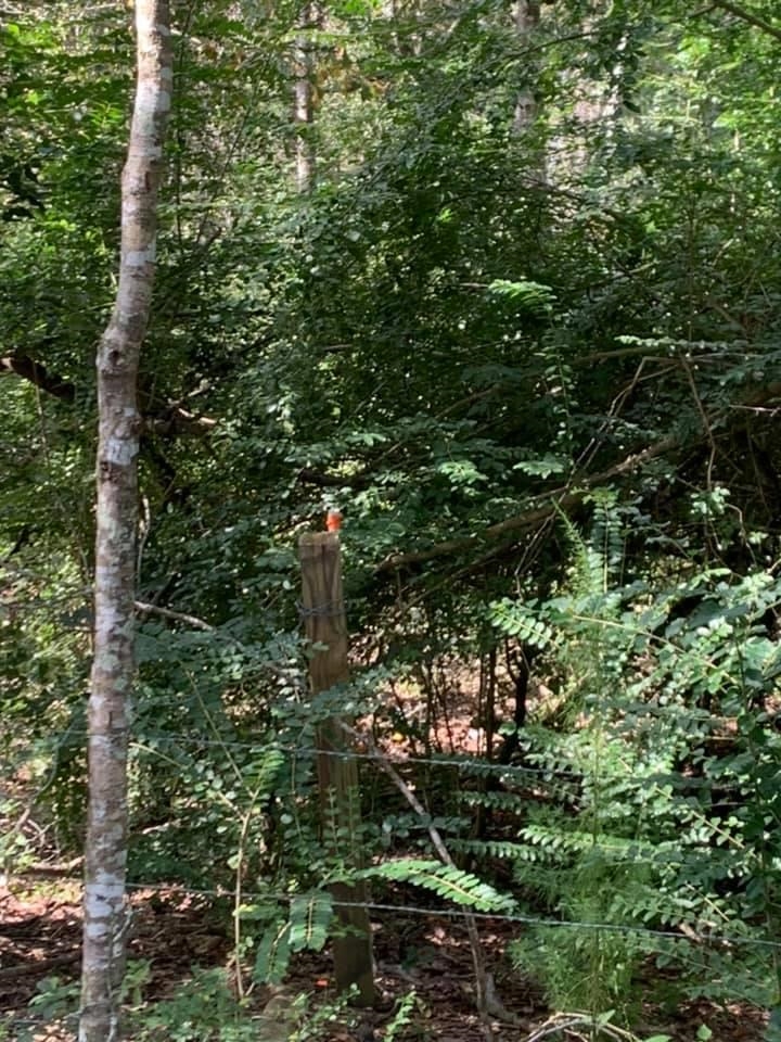 26348 Feely Road Elberta, AL 36530 - Photo 18 of 43