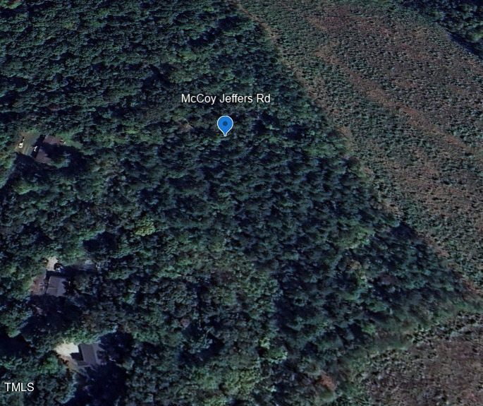 1 McCoy Jeffers Drive Roxboro, NC 27574 - Photo 2 of 3 Google Earth Photo