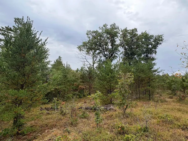 $325,000 | 0 Hall Road, Roscommon, MI 48653