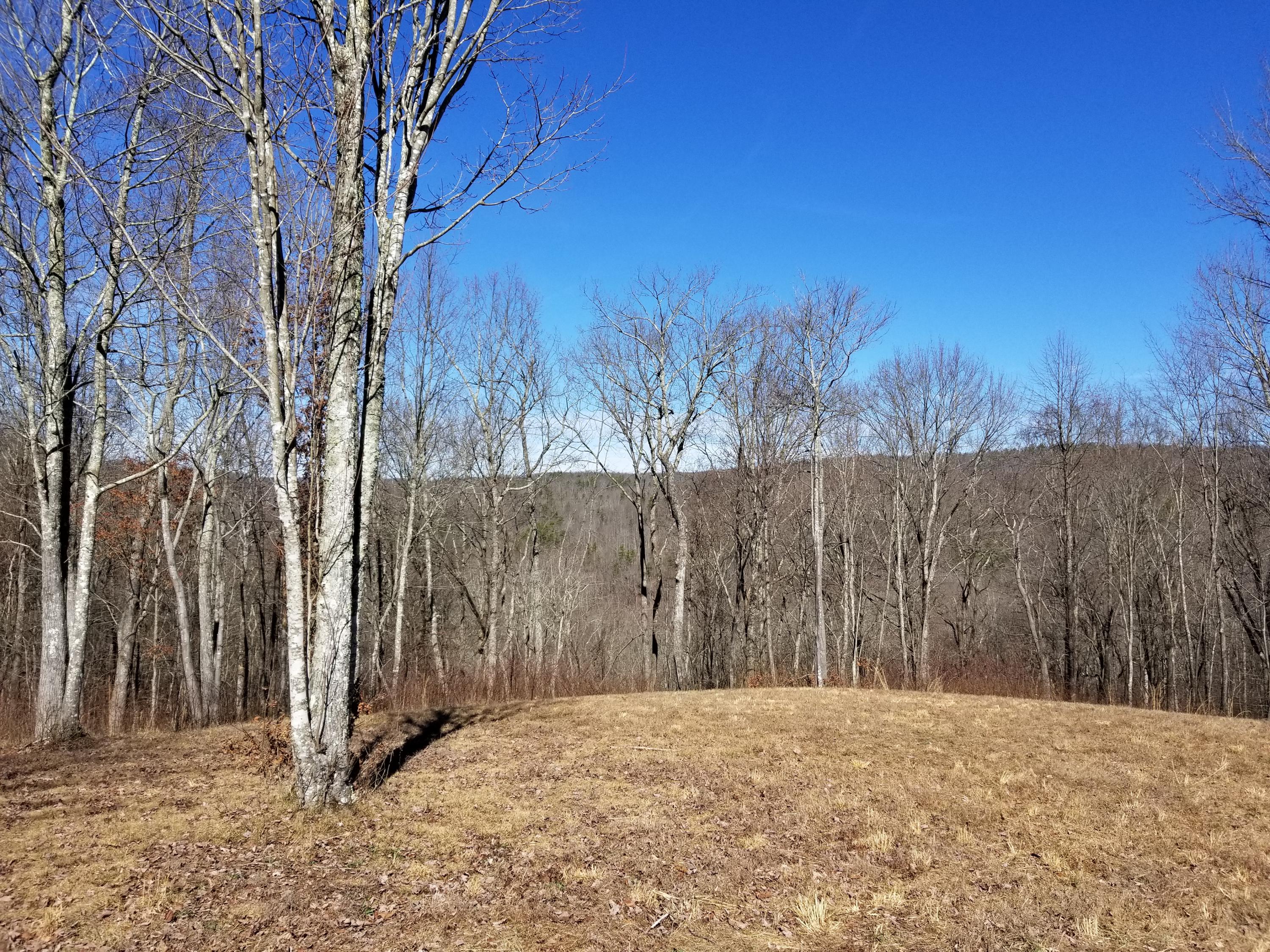 280 Roaring Creek Road, Unit 280 Dunlap, TN 37327 - Photo 1 of 32 Views