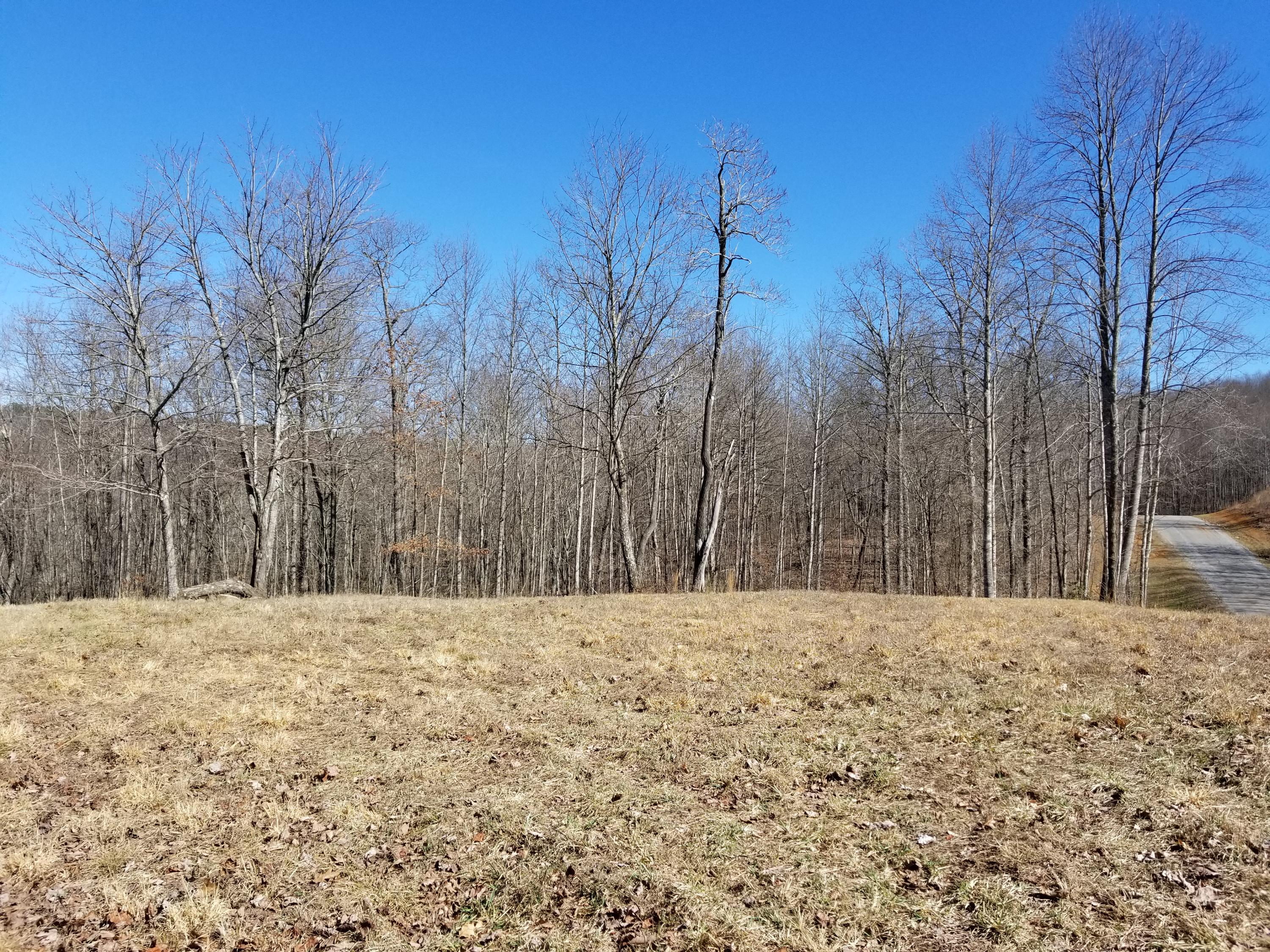 280 Roaring Creek Road, Unit 280 Dunlap, TN 37327 - Photo 3 of 32 Cleared area