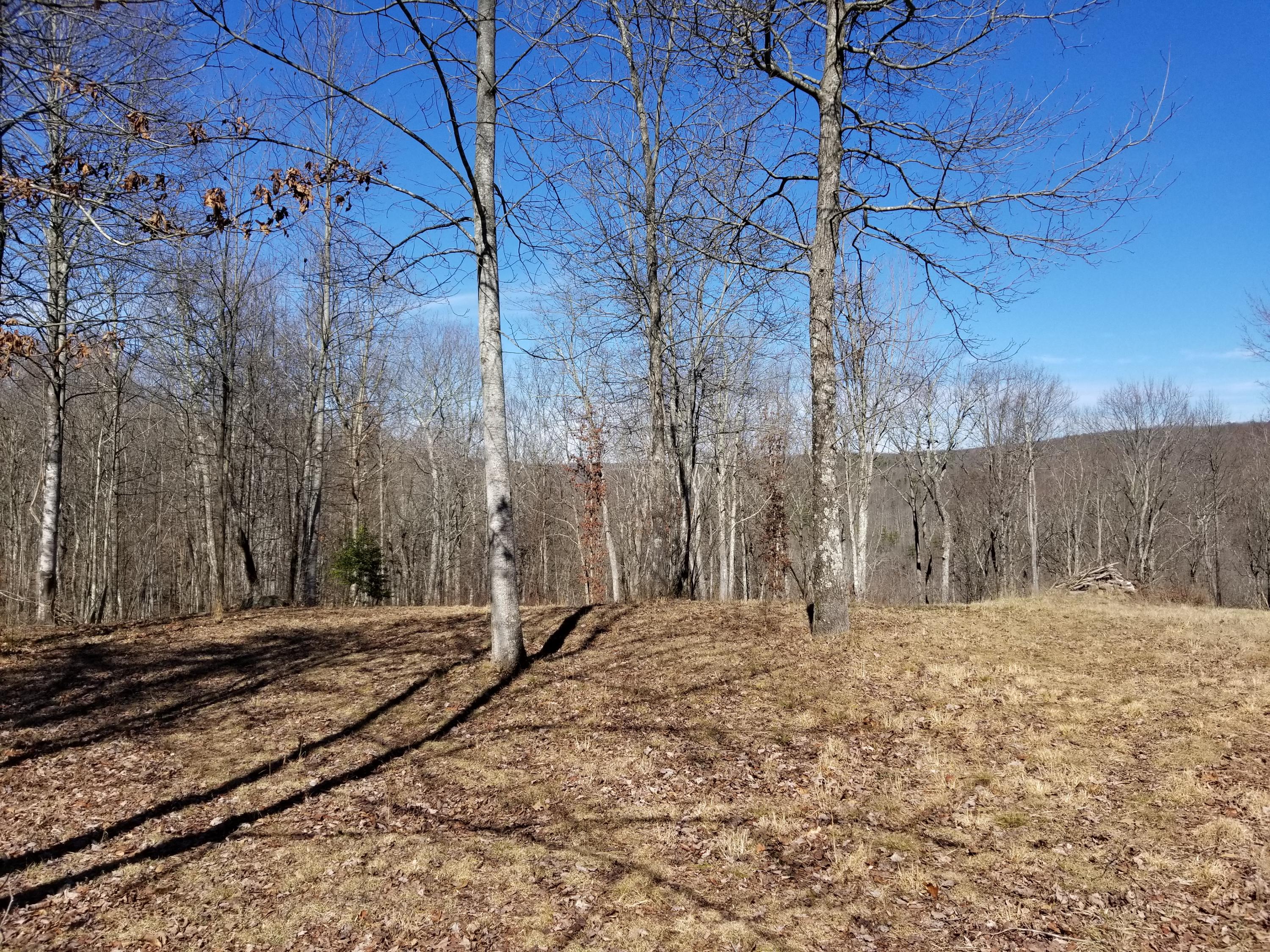 280 Roaring Creek Road, Unit 280 Dunlap, TN 37327 - Photo 4 of 32 Cleared area