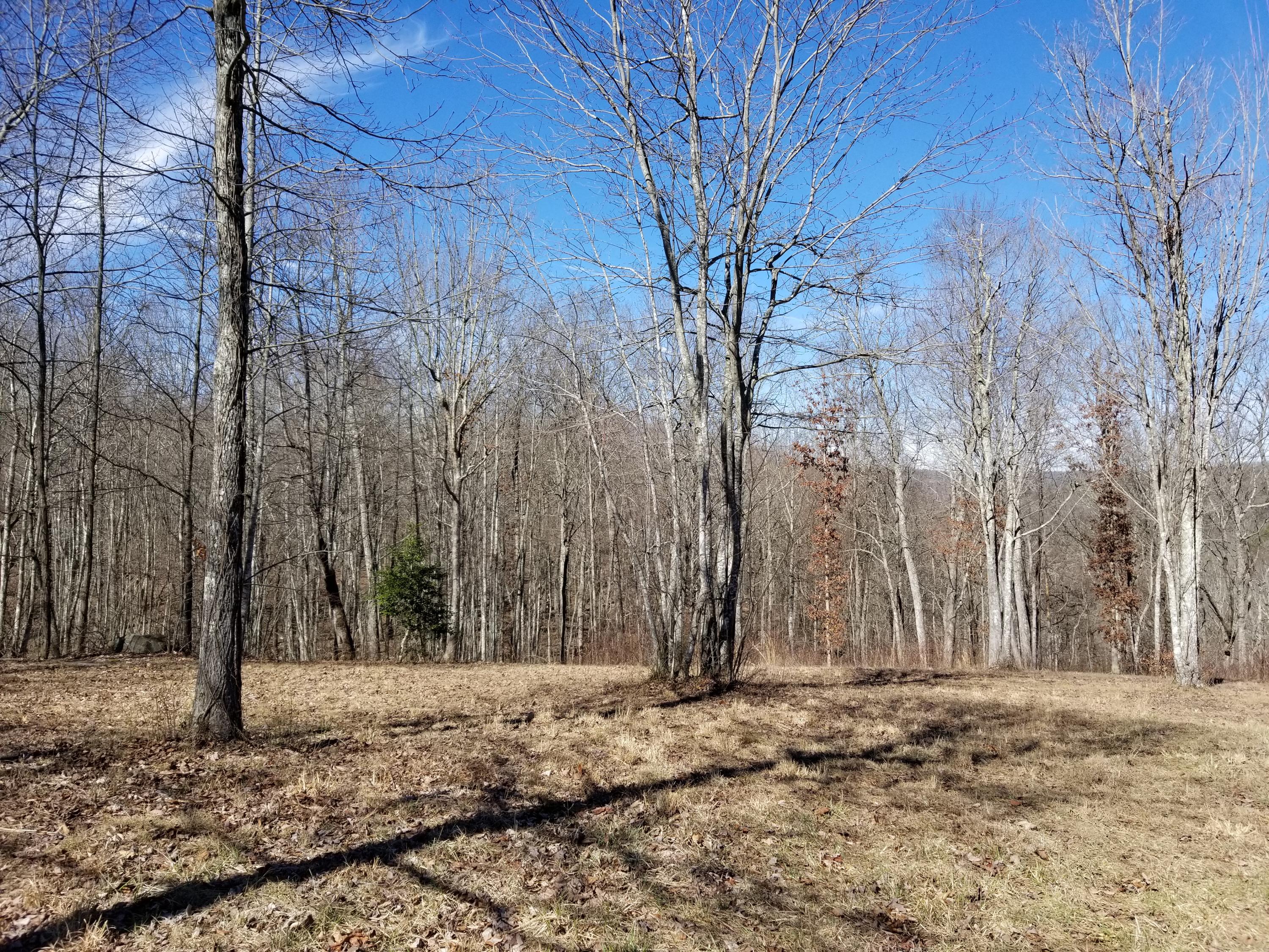 280 Roaring Creek Road, Unit 280 Dunlap, TN 37327 - Photo 5 of 32 Cleared area