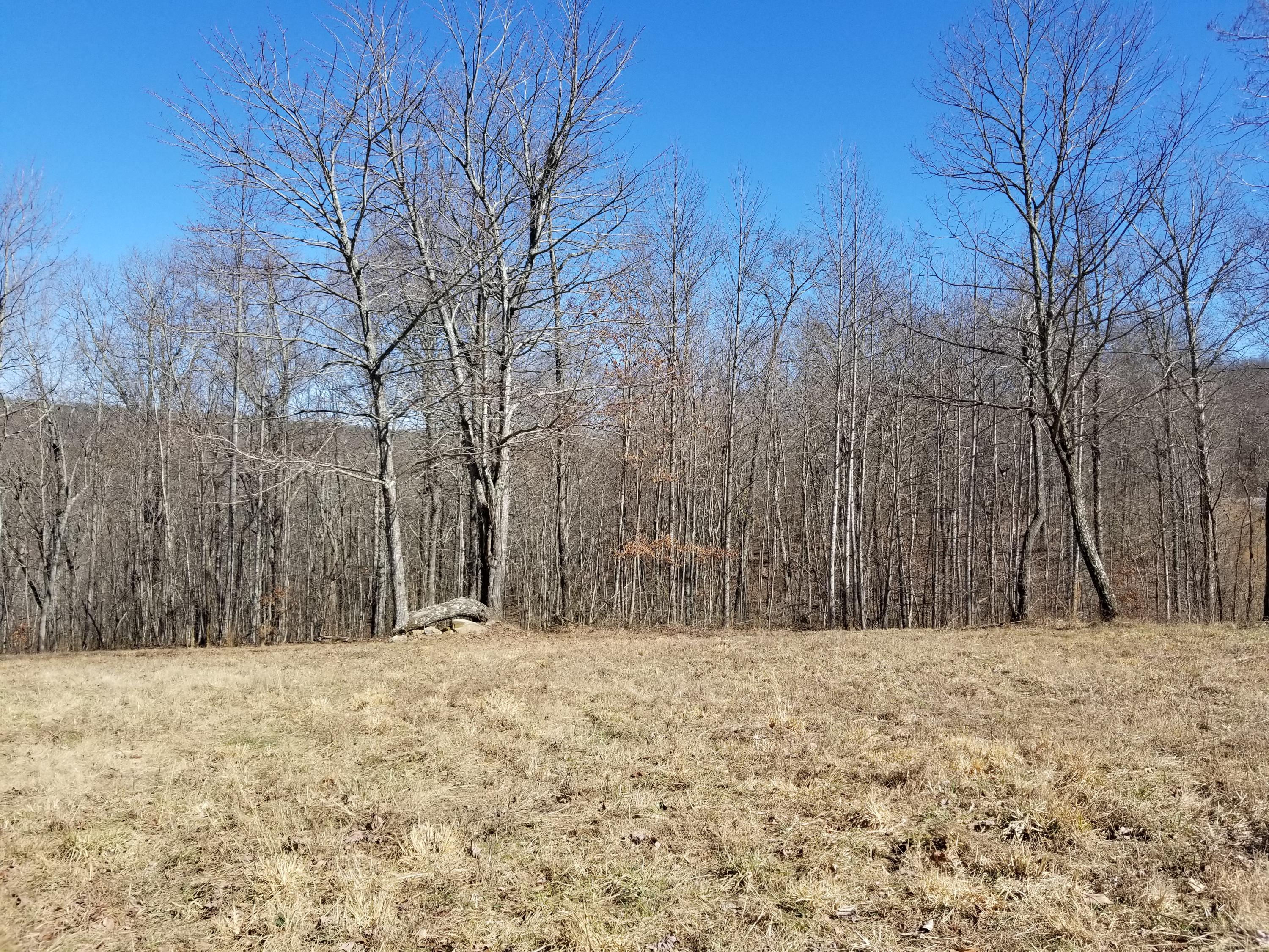 280 Roaring Creek Road, Unit 280 Dunlap, TN 37327 - Photo 6 of 32 Cleared Area