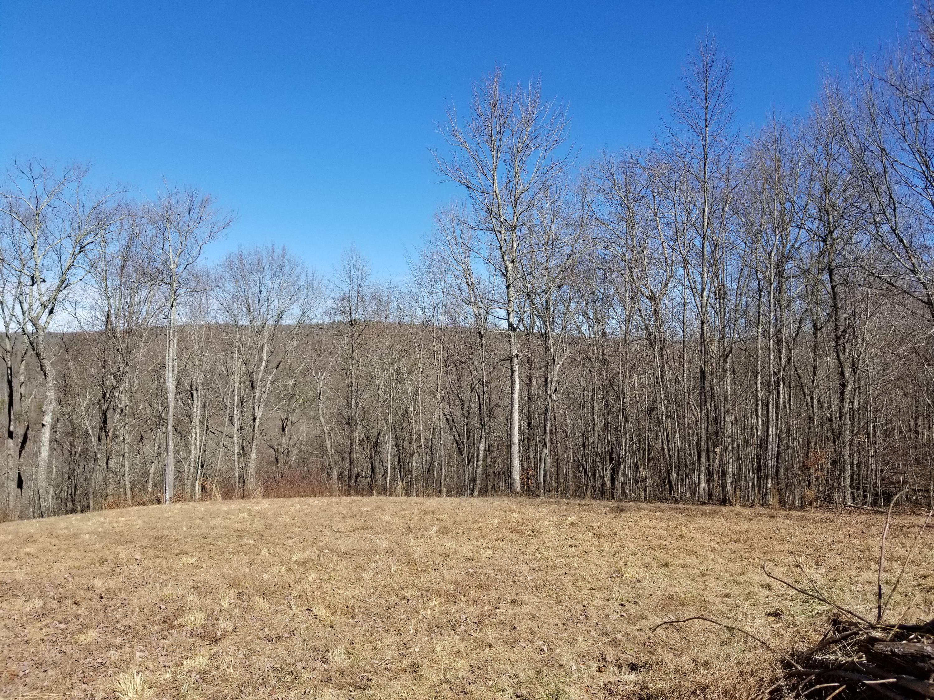 280 Roaring Creek Road, Unit 280 Dunlap, TN 37327 - Photo 7 of 32 Mountain View