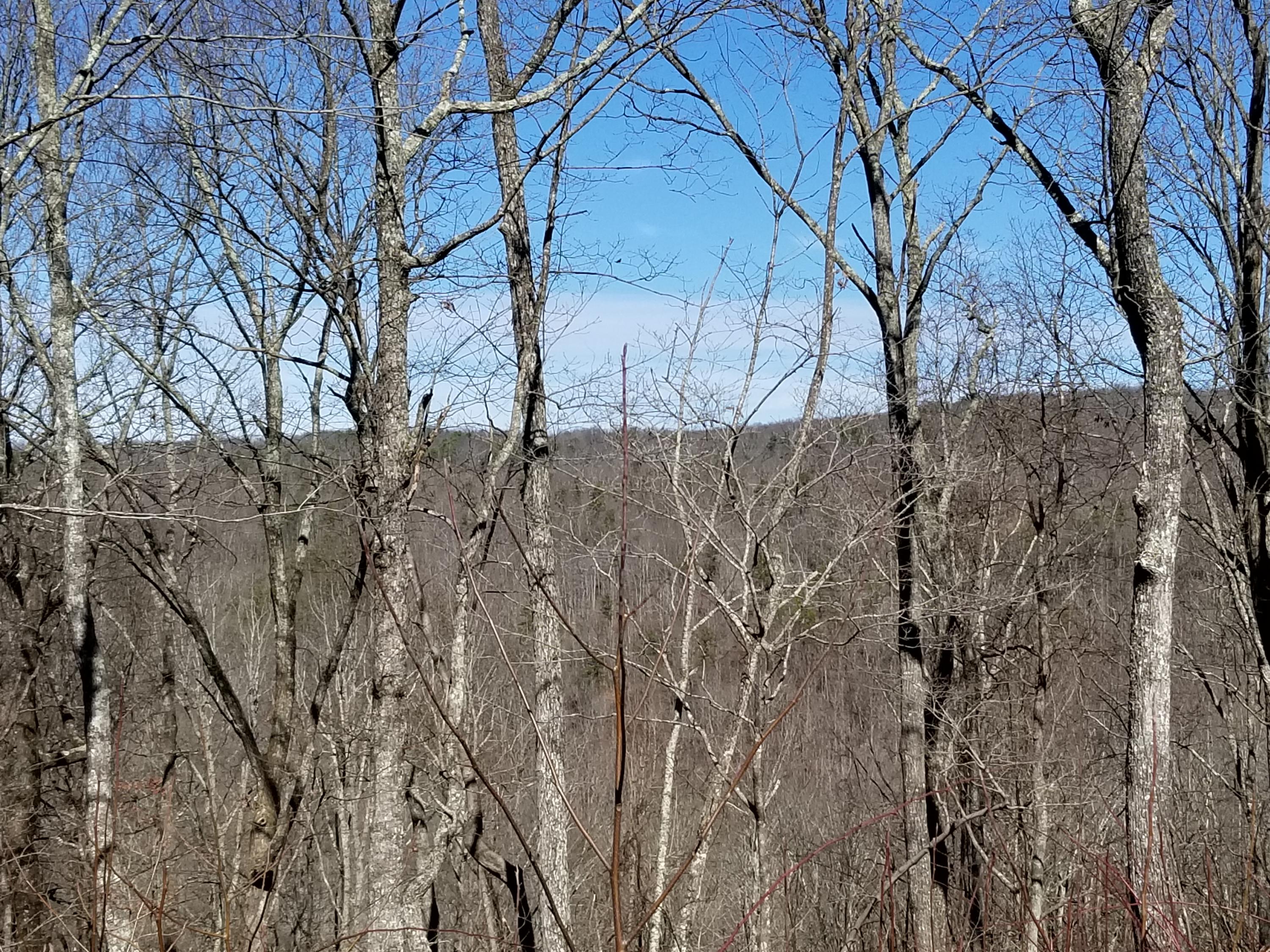 280 Roaring Creek Road, Unit 280 Dunlap, TN 37327 - Photo 8 of 32 Mountain View