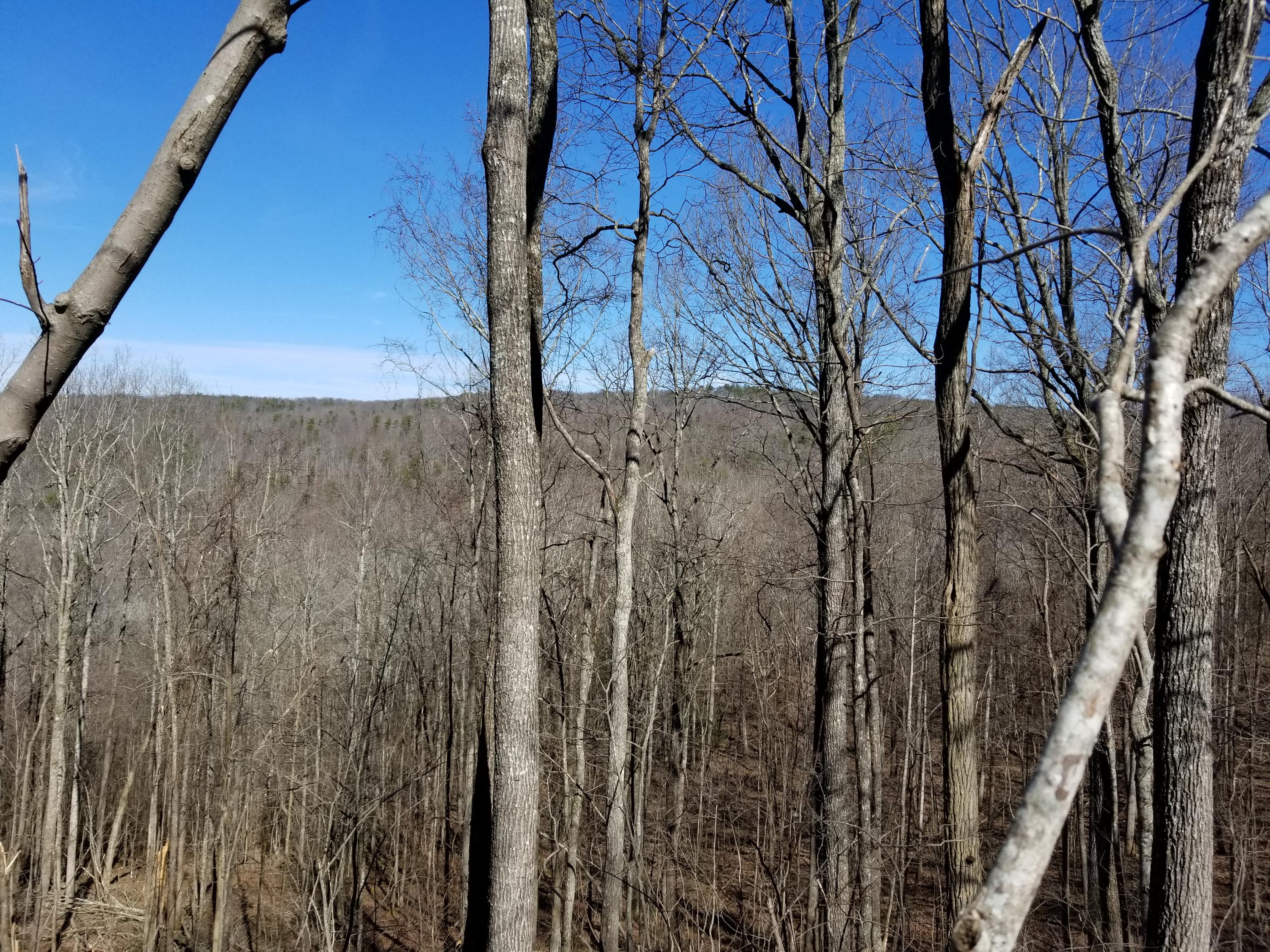 280 Roaring Creek Road, Unit 280 Dunlap, TN 37327 - Photo 10 of 32 View
