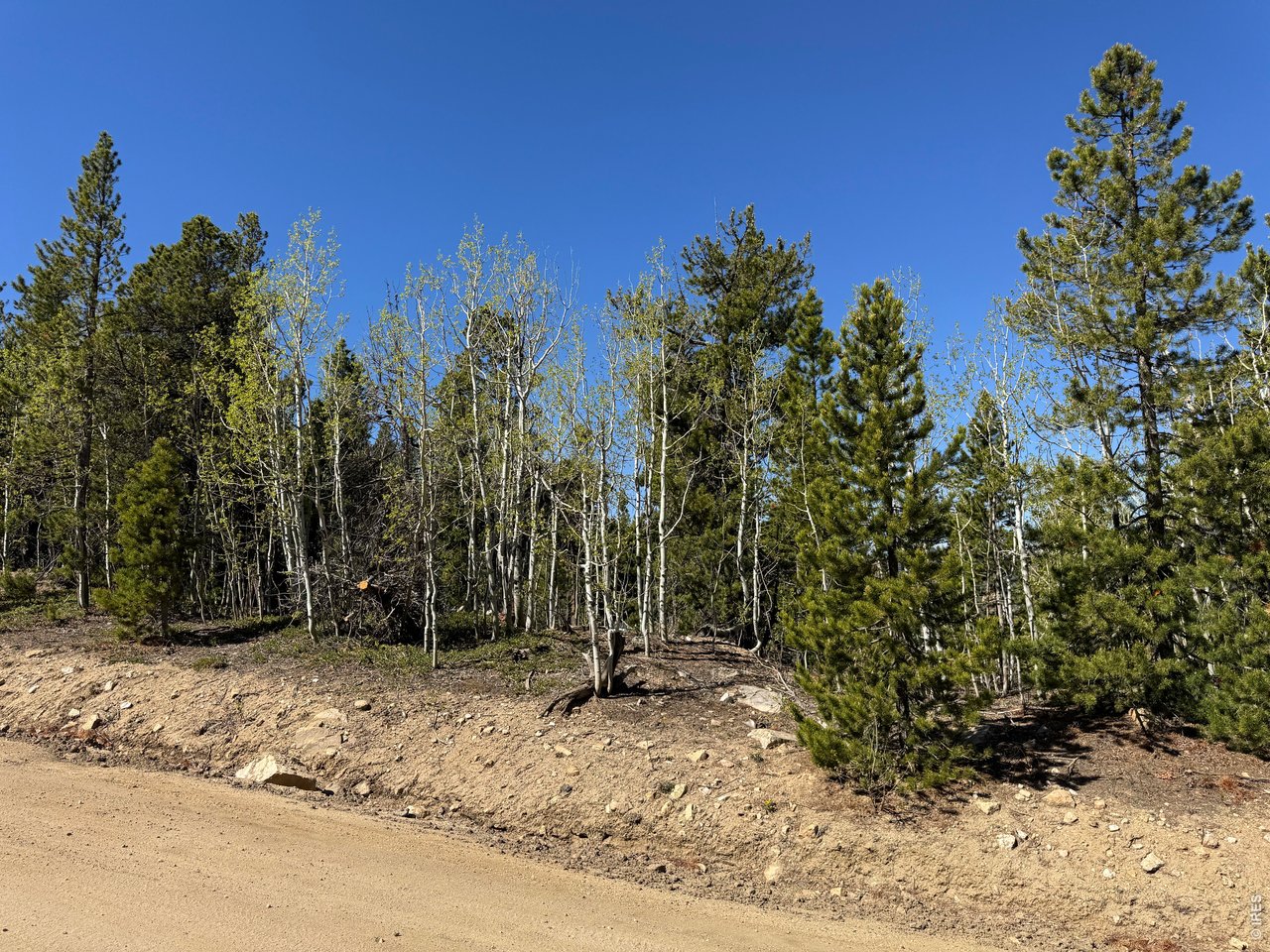 0 Randall Ridge Road Black Hawk, CO 80422 - Photo 5 of 13 a view of backyard with green space