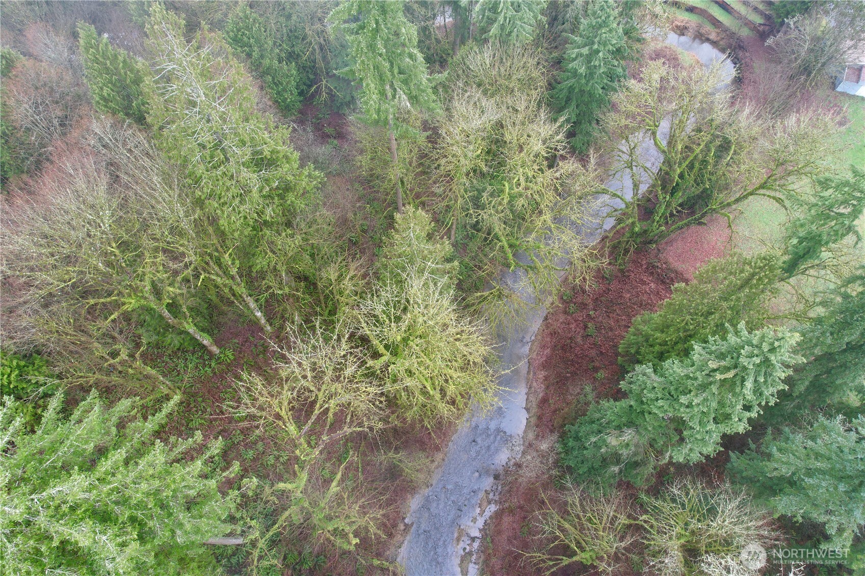 2037 Delameter Road Castle Rock, WA 98611 - Photo 27 of 27