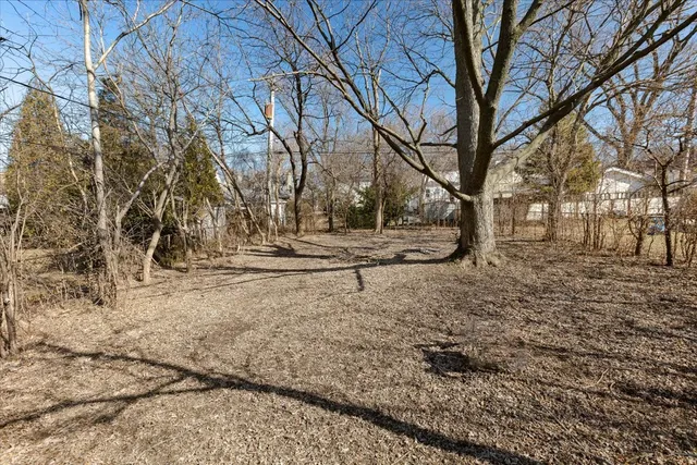 a view of yard with tree