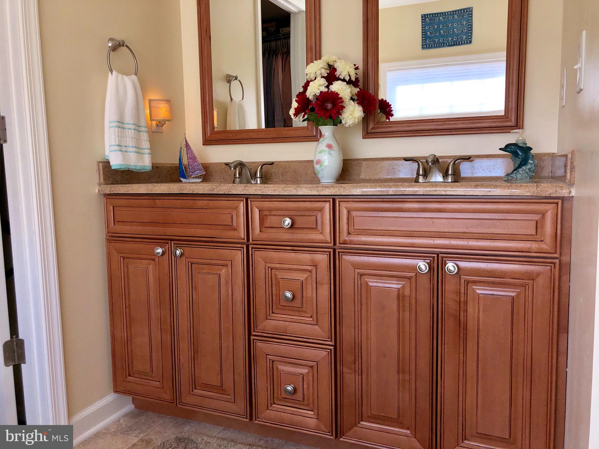 290 Alexis Drive Ranson, WV 25438 - Photo 14 of 33 master double sink