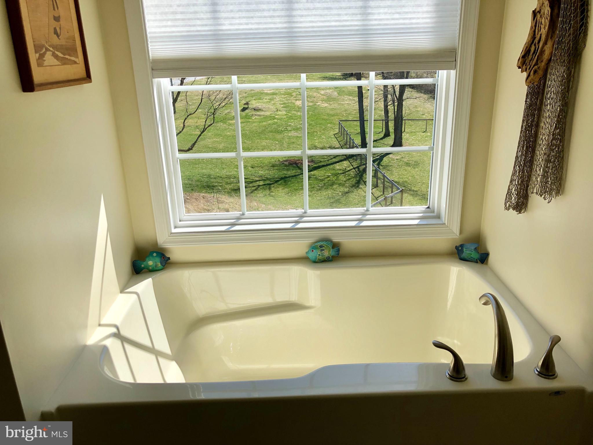 290 Alexis Drive Ranson, WV 25438 - Photo 16 of 33 master soaking tub