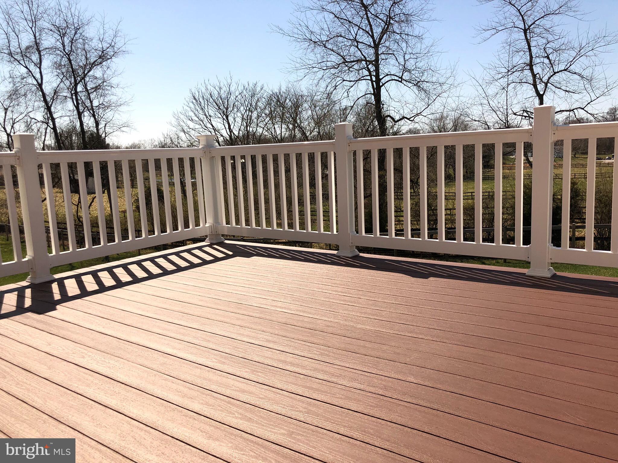 290 Alexis Drive Ranson, WV 25438 - Photo 27 of 33 vinyl planks and vinyl railing