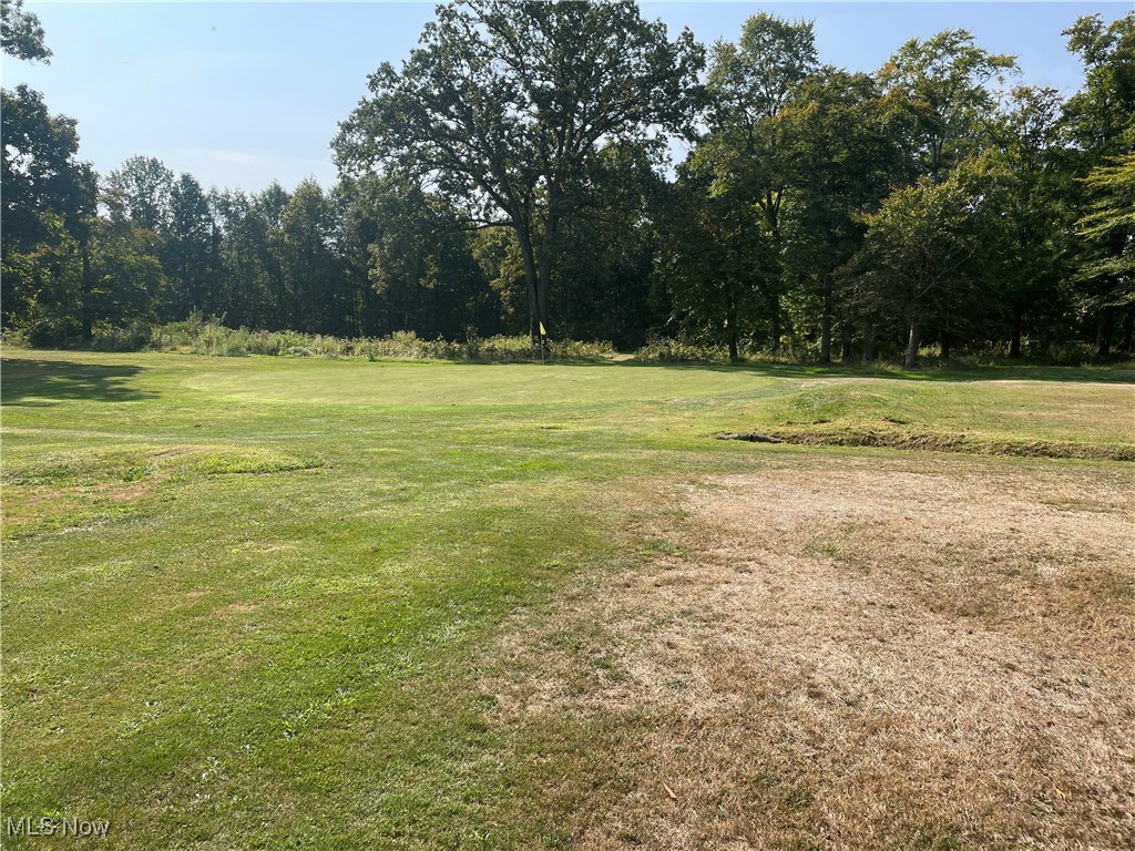 9889 New Road North Jackson, OH 44451 - Photo 24 of 30 View of yard