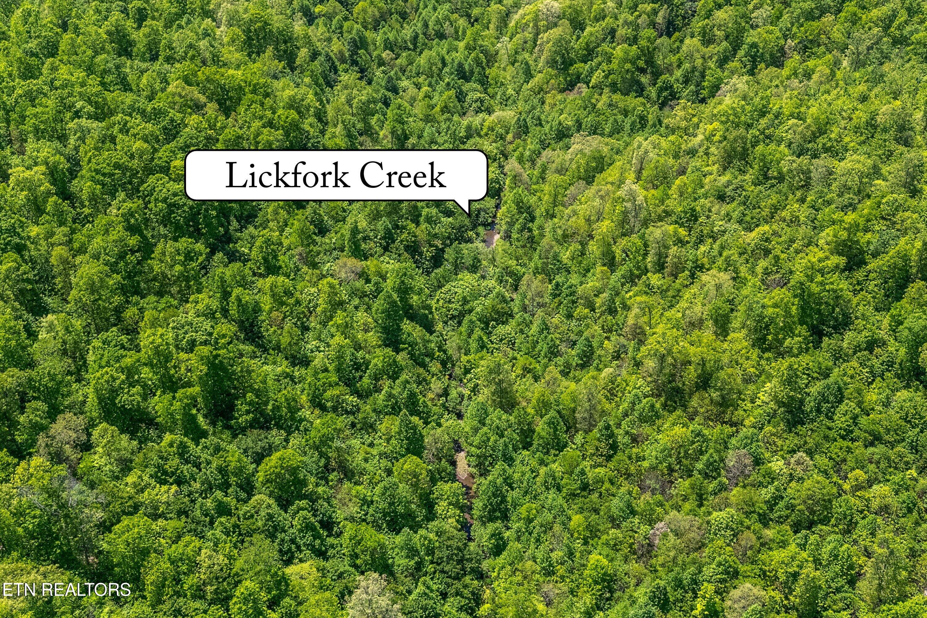 0 Conley Road Crossville, TN 38571 - Photo 12 of 24 CONLEY 12 NEW