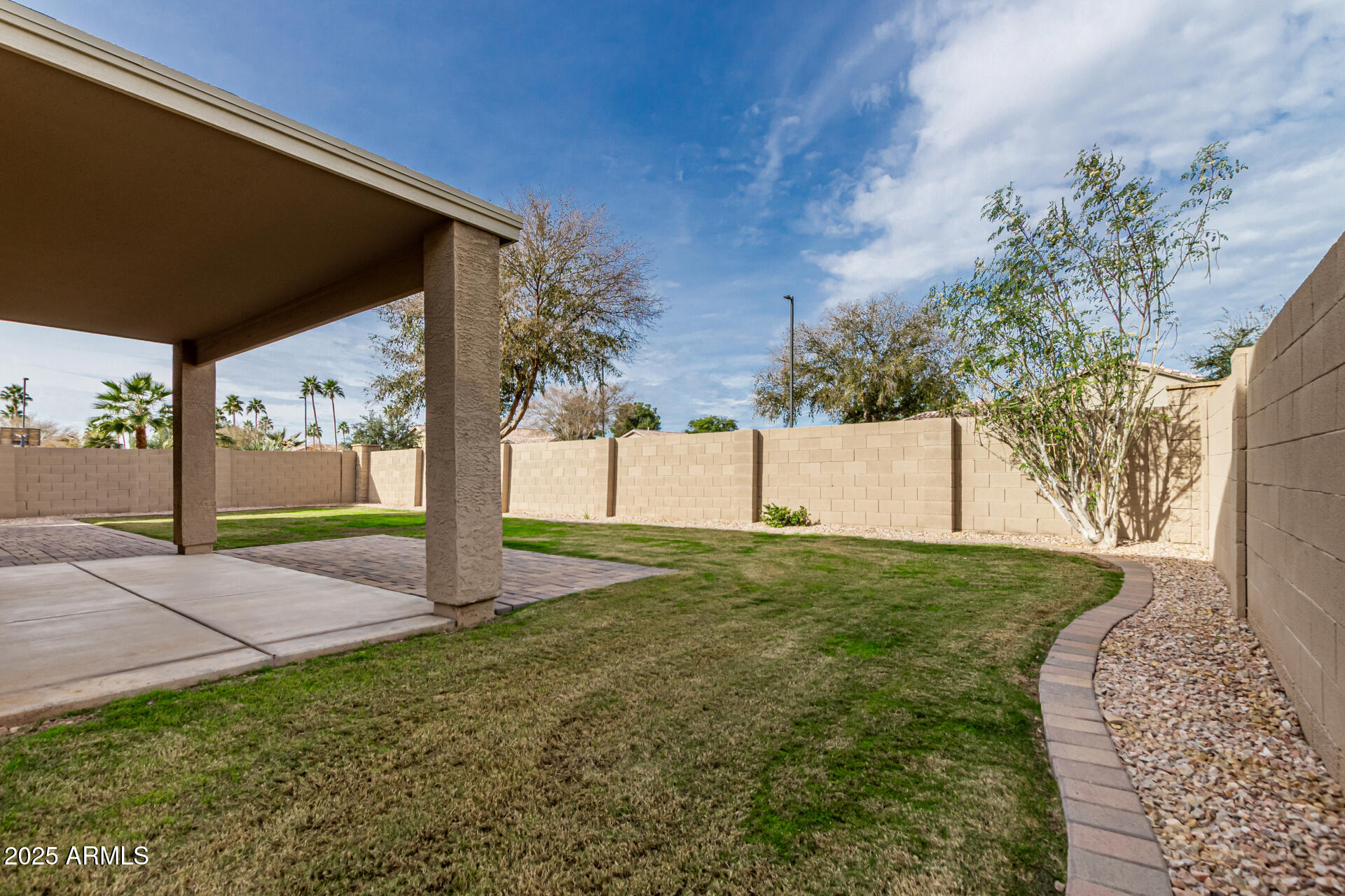 2978 East Ranch Court Gilbert, AZ 85296 - Photo 46 of 72 a view of a yard with plants