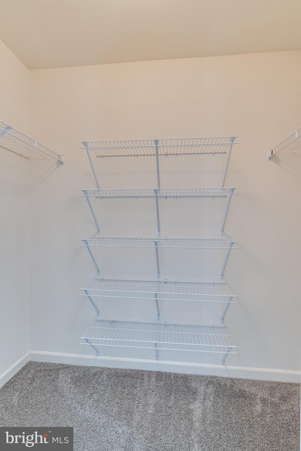 1253 Mare Street Ranson, WV 25438 - Photo 53 of 64 Suite is completed by a massive walk-in closet