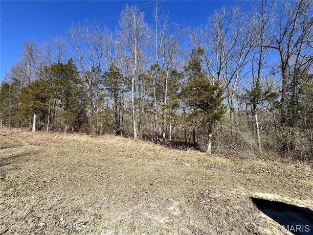 $65,000 | 5 Pinnacle Lake Road, New Florence, MO 63363