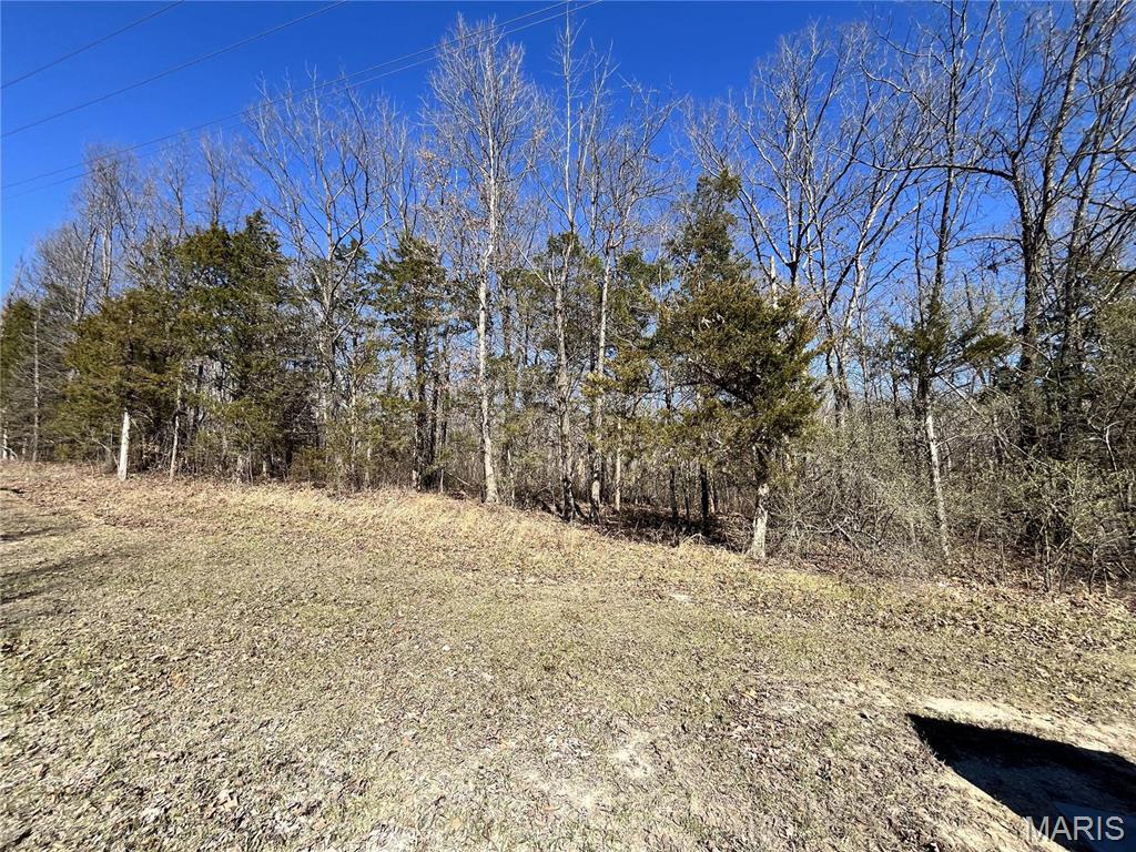 5 Pinnacle Lake Road New Florence, MO 63363 - Photo 2 of 4