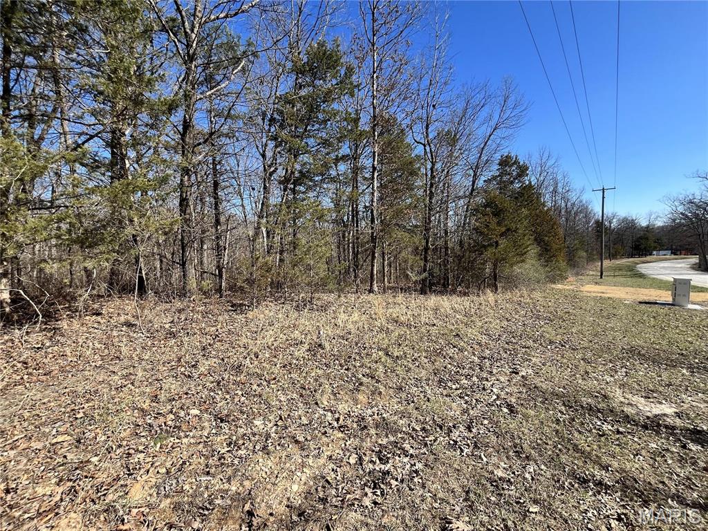 5 Pinnacle Lake Road New Florence, MO 63363 - Photo 3 of 4