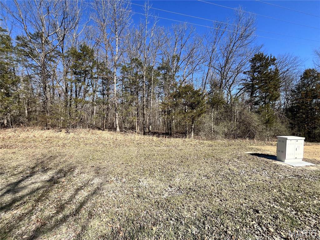 5 Pinnacle Lake Road New Florence, MO 63363 - Photo 4 of 4