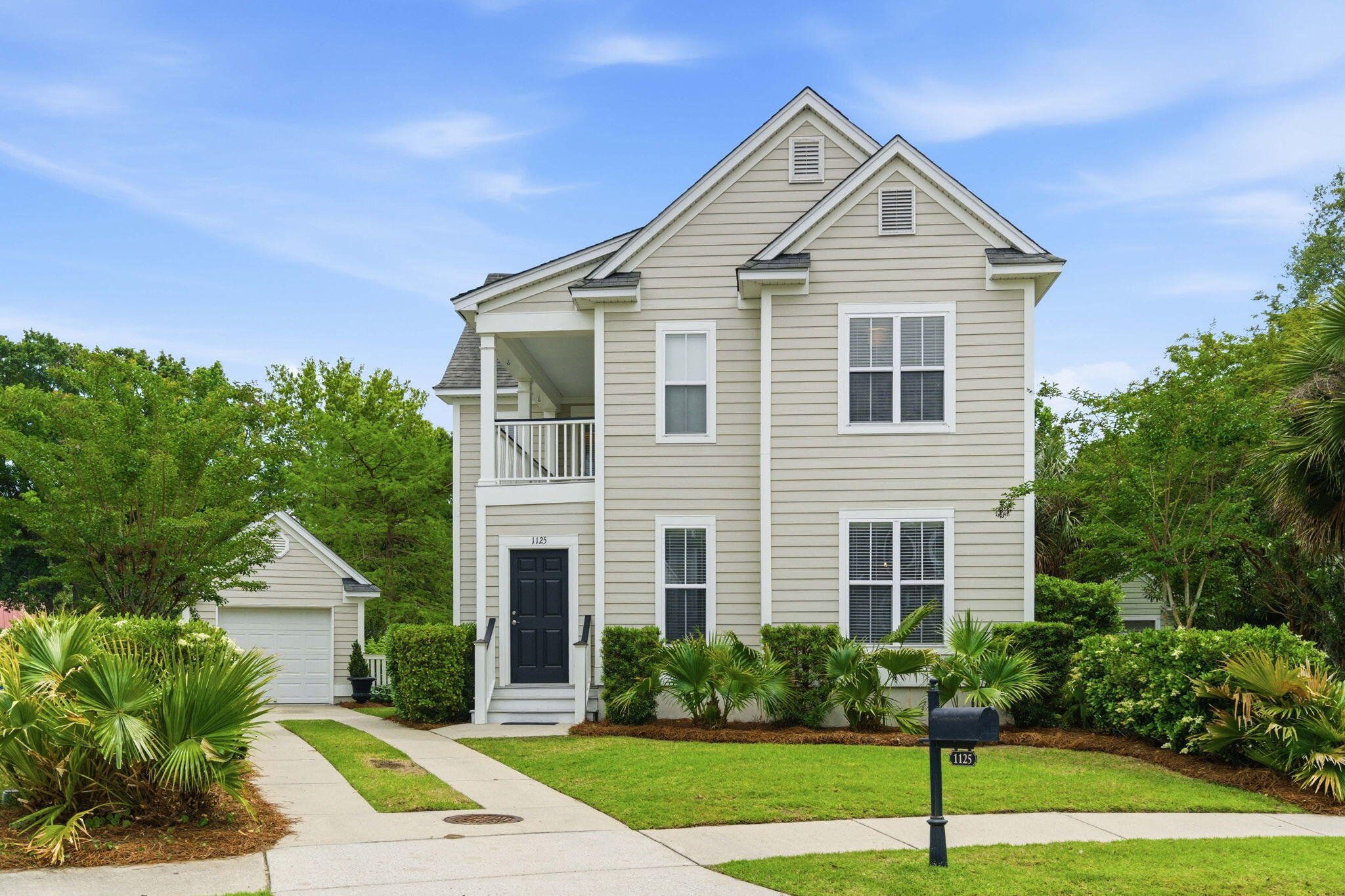 1125 Dawn View Terrace Mount Pleasant, SC 29464 - Photo 1 of 43 1-web-or-mls-NCP02207