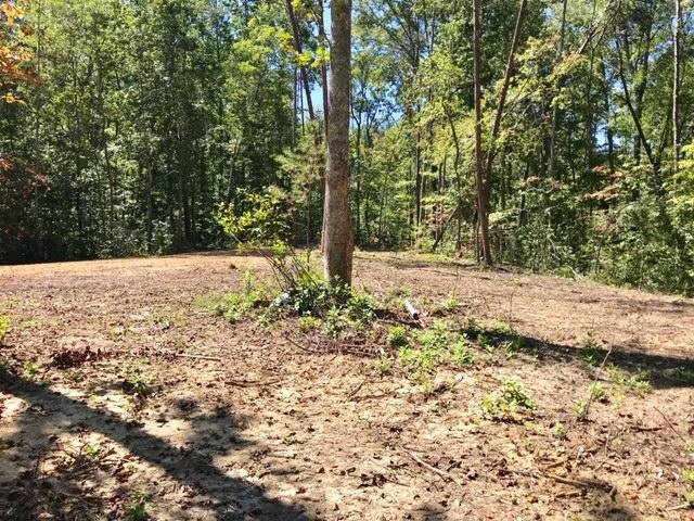13 Meadow Lark Road, Unit J Dunlap, TN 37327 - Photo 5 of 10 walters16