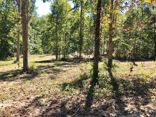 13 Meadow Lark Road, Unit J Dunlap, TN 37327 - Photo 6 of 10 walters17