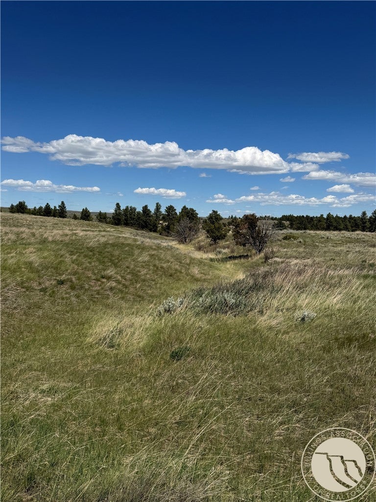 389 Number 4 Road Roundup, MT 59072 - Photo 25 of 45 Gallery Image 25