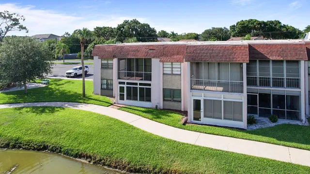 a view of a park with plants and a large tree