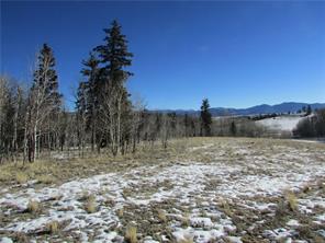640 Smith And Wesson Road Como, CO 80432 - Photo 5 of 8 Gallery Image 5