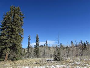 640 Smith And Wesson Road Como, CO 80432 - Photo 6 of 8 Gallery Image 6