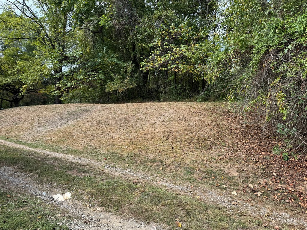 Tbd Cherry Street Murphy, NC 28906 - Photo 6 of 7