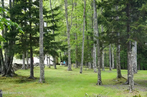 $225,777 | 127 Fern Lane, Jefferson, NY 12093