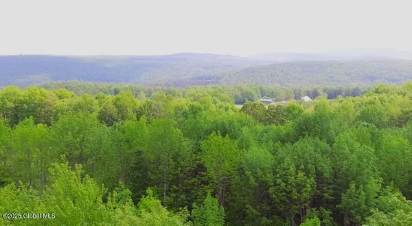 $225,777 | 127 Fern Lane, Jefferson, NY 12093