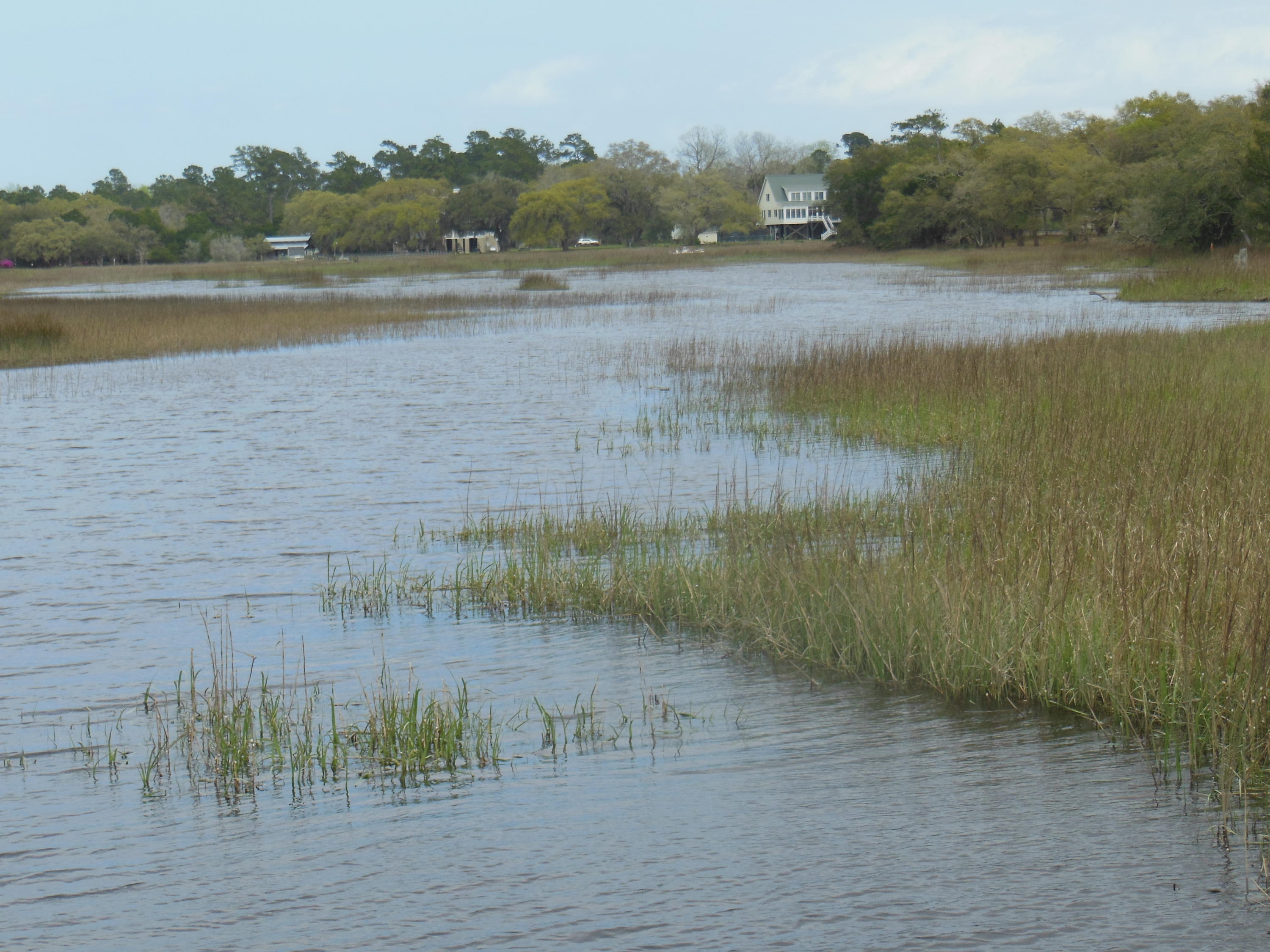 4 Broadmarsh McClellanville, SC 29458 - Photo 2 of 4 Broadmarsh 3-16